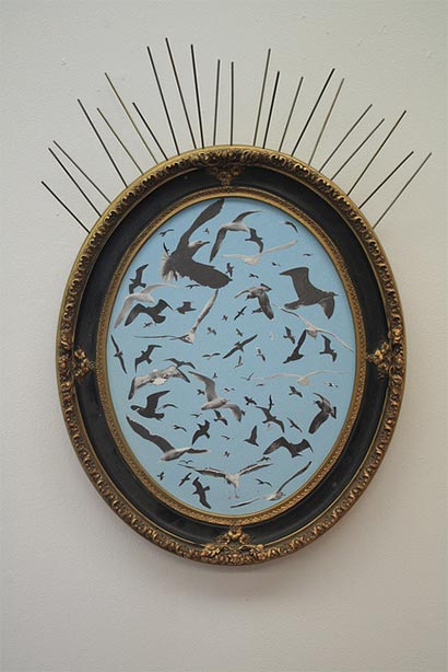 framed picture of seagulls