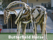 Butterfield Horse