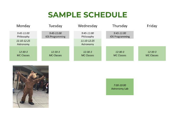 Schedule sample