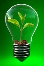 plant growing inside a lightbulb representing sustainability