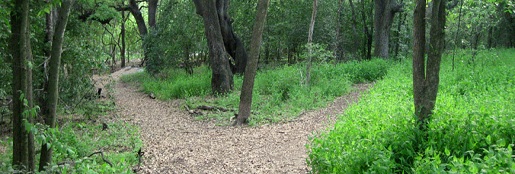 slide 6